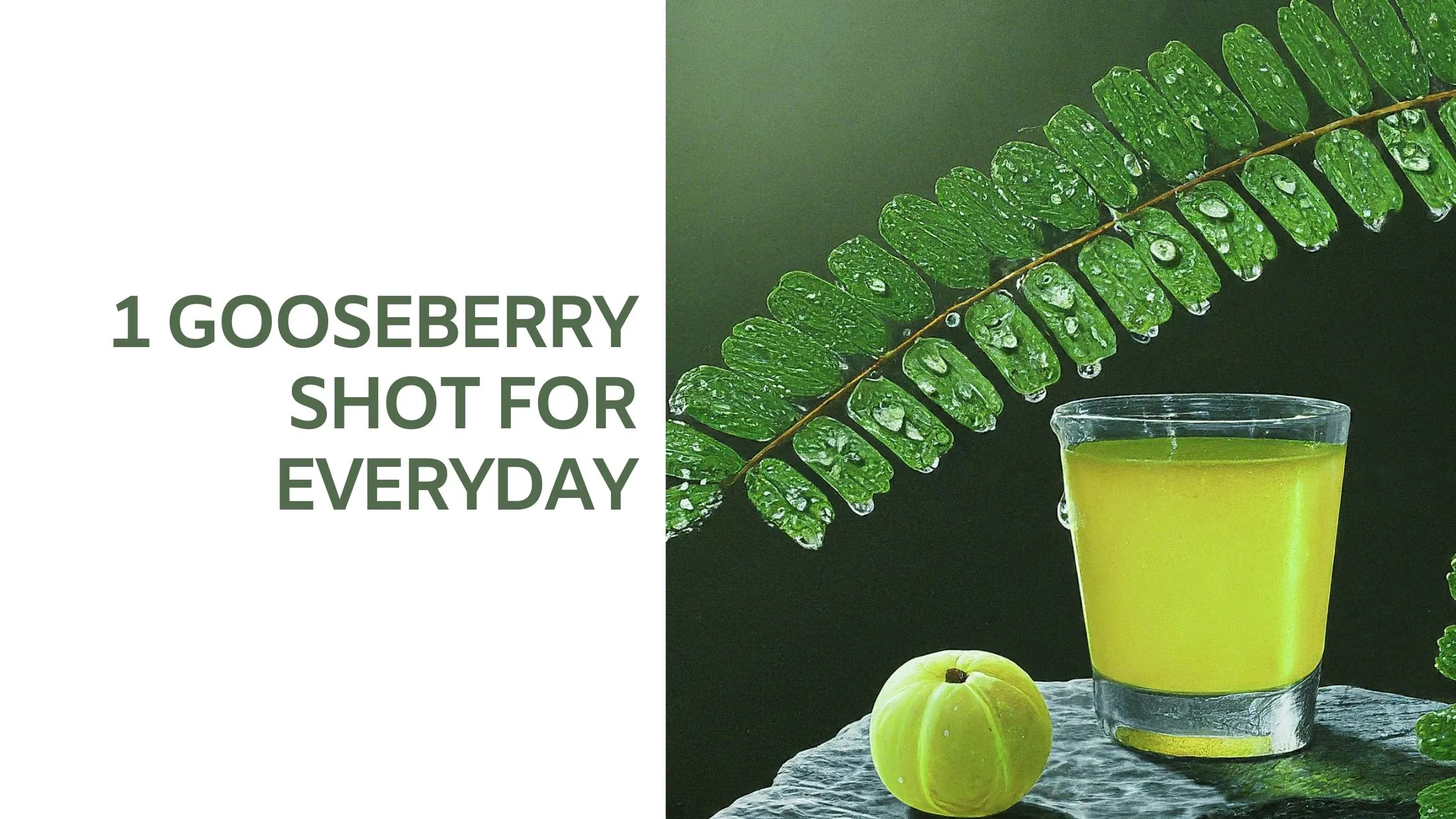 1 Gooseberry Shot Is All You Need Everyday